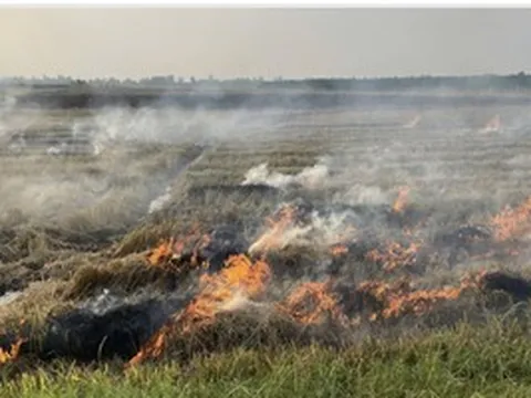 Chồng bàng hoàng phát hiện thi thể vợ trong đám cháy giữa đồng ở Cần Thơ