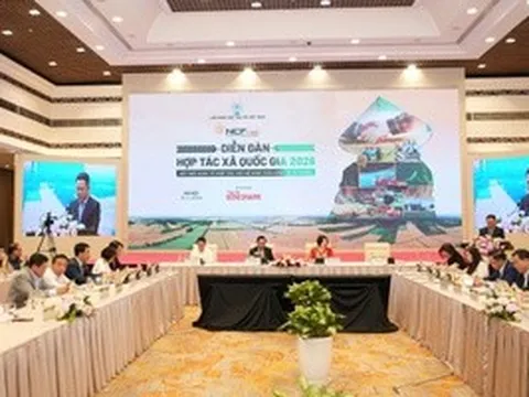 "Bắt tay" phát triển chuỗi giá trị bền vững