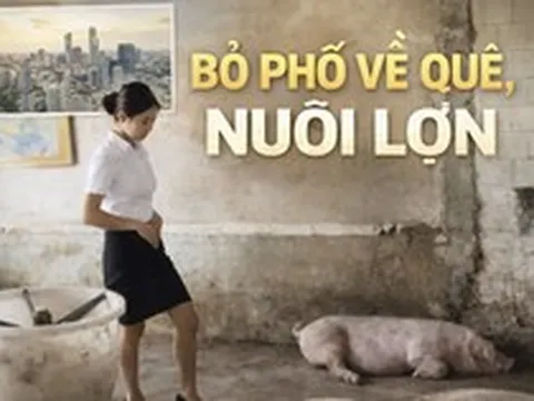 Nữ tiếp viên hàng không bỏ phố về quê nuôi lợn: 2 tháng “thắng đậm”, doanh thu hơn 770 triệu đồng