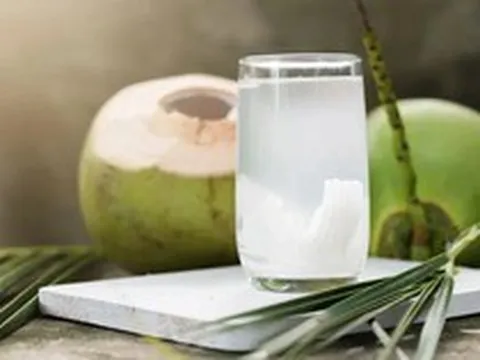 Nước dừa có thể uống thay thế nước lọc không? Sự thật không phải ai cũng biết