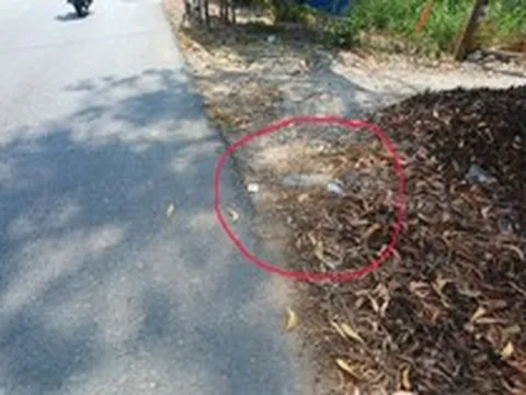 Cảnh tượng hàng loạt tờ giấy in SĐT được rải khắp đường: Công an cảnh báo toàn bộ người dân