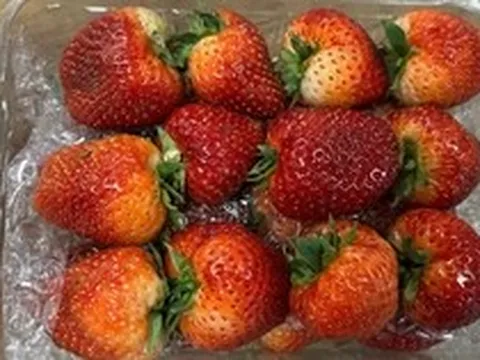 Cặp vợ chồng ngoài 20 tuổi cùng mắc ung thư gan, "thủ phạm" là loại trái cây quen thuộc nhưng độc hơn rắn hổ mang