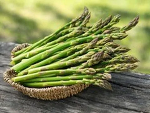 Loại rau được ví là 'nhân sâm' nhưng lại khắc tinh với người bị bệnh gout