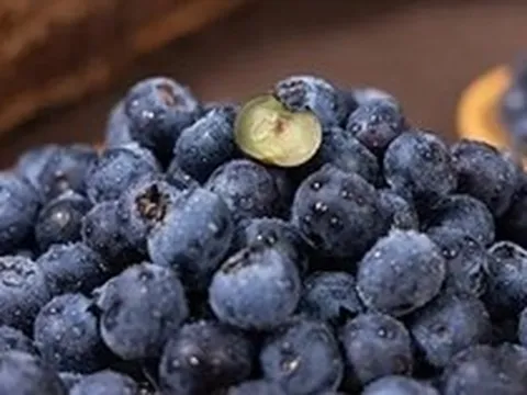 Người phụ nữ 61 tuổi kiên trì ăn việt quất mỗi sáng suốt 4 năm, kết quả khám khiến bác sĩ gật gù: “Cách này rất ổn”