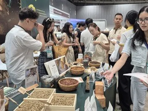 Giá cà phê hôm nay 17- 4: Quay đầu giảm, dân trong nghề thích ứng xu thế cà phê mới