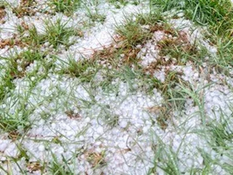 Mưa đá liên tục 4 ngày ở phía Tây Quảng Ngãi