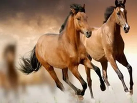 Chuyên gia dự báo: Từ giữa tháng 4/2026, 4 tuổi này có tín hiệu tài lộc khởi sắc, cơ hội tăng thu nhập rõ rệt