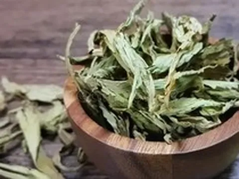 Loại lá khô ngọt gấp 300 lần đường mía nhưng lại không gây tăng đường huyết, tốt cho tim mạch: Việt Nam bán nhiều
