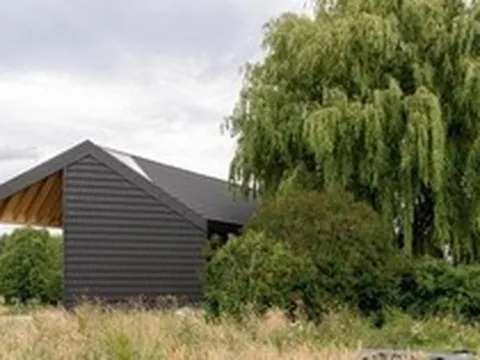 5 loại cây không nên trồng trước cửa nhà, vừa ảnh hưởng phong thủy lại có thể gây hại cho gia chủ