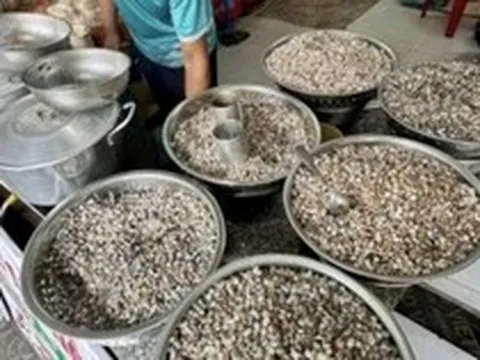 Giá vàng đu đỉnh cũng không bằng lon ốc lể miền Trung