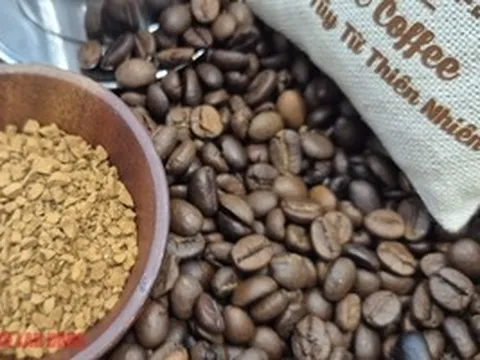 Giá cà phê hôm nay 19-4: Arabica đối mặt áp lực lớn