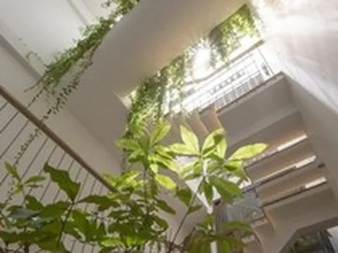 Ông bà dặn: Nhà có đủ 6 dấu hiệu này thì ai hỏi cũng đừng bán, càng ở càng tốt, con cháu hưởng lợi nhiều đời