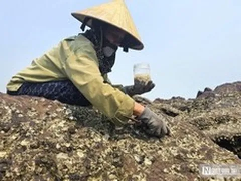 Đục đá "hái tiền" - Nghề độc lạ ở Nghệ An