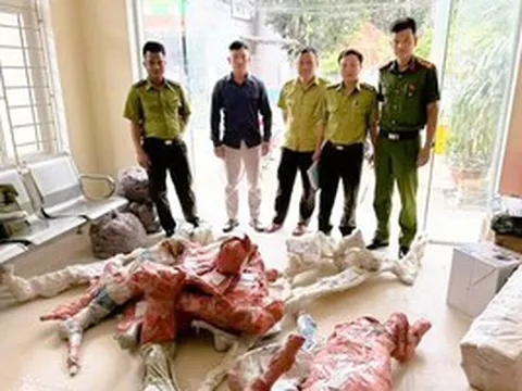 Công an thu giữ 15 phôi cây muội hồng ở bưu điện