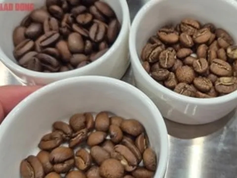 Giá cà phê hôm nay 22-4: Mới tăng đã giảm, nông dân cân nhắc điều này