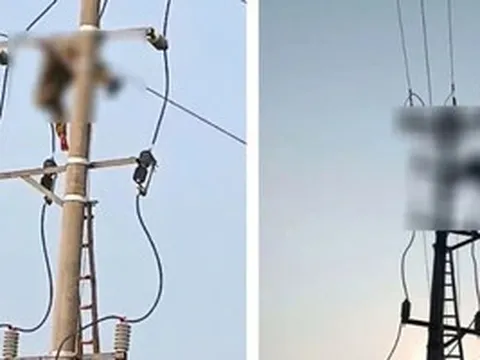Bàng hoàng phát hiện thi thể nam sinh treo trên cột điện trung thế