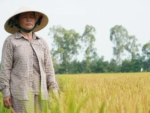 Nhức nhói nạn phá hoại nông, thủy sản của người dân