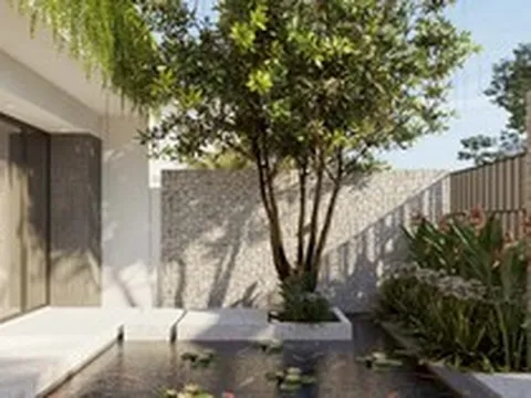 4 loại cây may mắn nên trồng trước sân nhà, gia đình không giàu sang cũng trở nên quyền quý