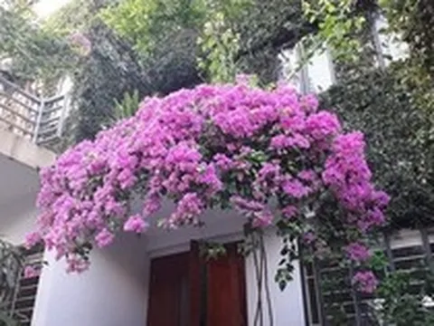 Không phải mê tín: Nếu nhà xuất hiện 7 dấu hiệu này, may mắn kéo dài, vừa đẹp sang vừa hút lộc, bảo sao càng ở càng hưởng lợi