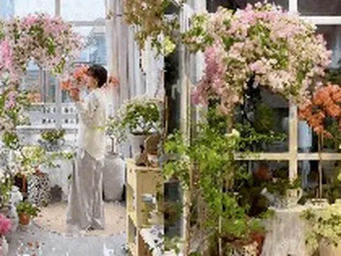 Cắt tỉa càng "bạo tay", hoa nở càng rực rỡ: Bí quyết hô biến ban công thành vườn hoa giấy đẹp như mộng từ chuyên gia