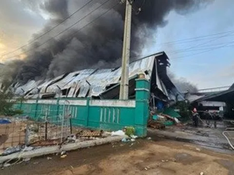 Cháy lớn tại một doanh nghiệp ở Gia Lai, thiệt hại ước tính nhiều tỉ đồng