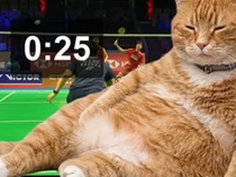 Ứng dụng hay: Chú mèo béo đáng yêu "nằm chình ình" trên màn hình để nhắc nhở mọi người không lướt mạng xã hội nữa