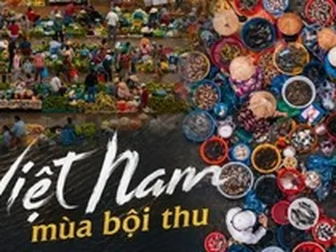 Một nhiếp ảnh gia Trung Quốc đi 10 ngày khắp Việt Nam: 9 bức ảnh "mùa gặt" hé lộ vẻ đẹp lao động khiến cả thế giới ngỡ ngàng