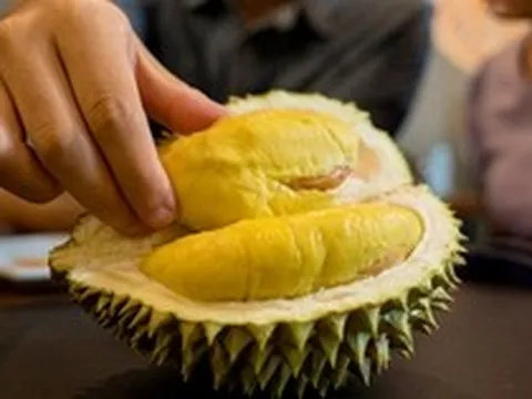 Lời khuyên cho các gia đình hay ăn sầu riêng