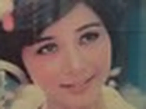 Nữ NSƯT là người đẹp phố cổ, nên duyên với tiến sĩ toán học nhờ mai mối