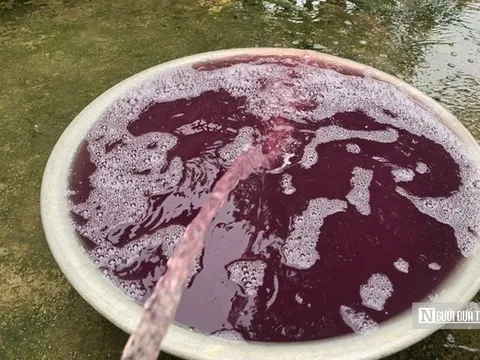 Vụ nước giếng khoan đổi màu tím, hôi tanh: Xử phạt công ty giặt là 1,5 tỷ đồng