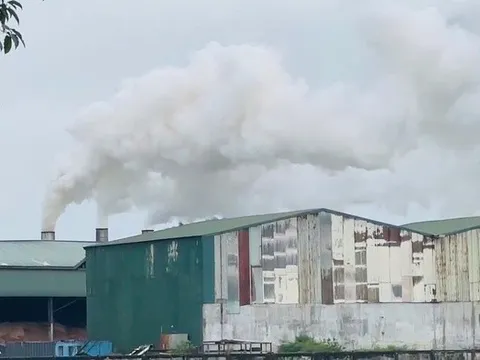 Khói mù mịt từ nhà máy viên nén: Quan trắc độc lập phát hiện khí CO vượt chuẩn