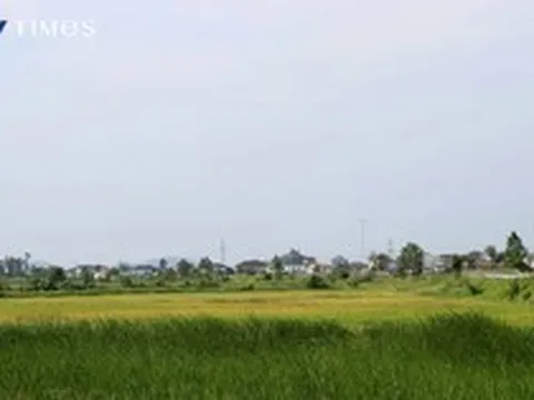 Nghệ An: Nhanh chóng tháo gỡ “nút thắt” dự án khu công nghiệp hơn 1.300 tỷ đồng