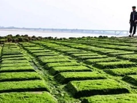 Bãi đá lạ sát bờ biển miền Trung khiến nhiều người đến xem, lãnh đạo tỉnh "nhắc nhở" 2 điều này