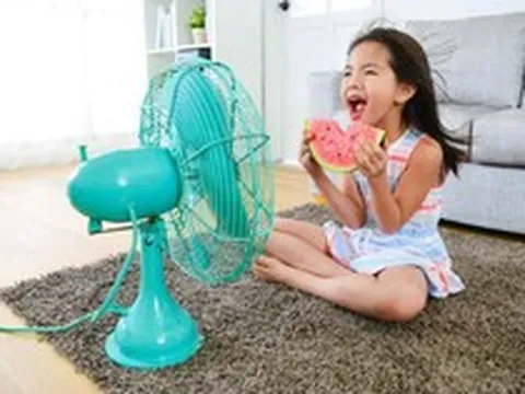 Mẹo làm mát nhà thông minh chỉ bằng quạt điện trong ngày 'nắng điên đảo'