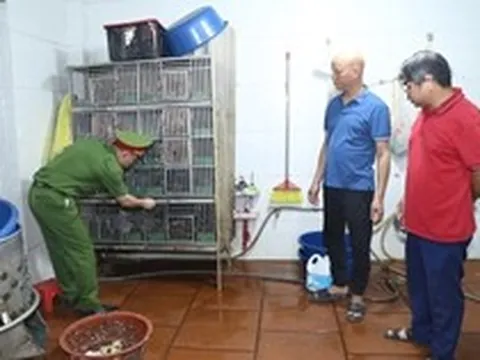 Khám xét nơi ở, khởi tố chủ nhà hàng Nguyễn Danh Việt SN 1976