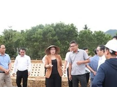 Lãnh đạo Đà Nẵng ra "tối hậu thư" với dự án gần 50 tỉ đồng kéo dài 9 năm