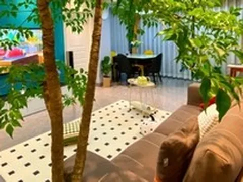 3 lý do vì sao nên có 1 chậu cây ở phòng khách