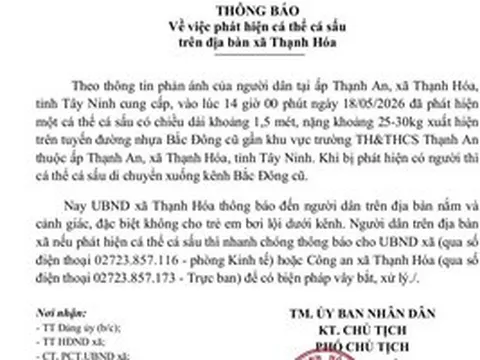 Tây Ninh phát cảnh báo khẩn vì cá sấu xuất hiện