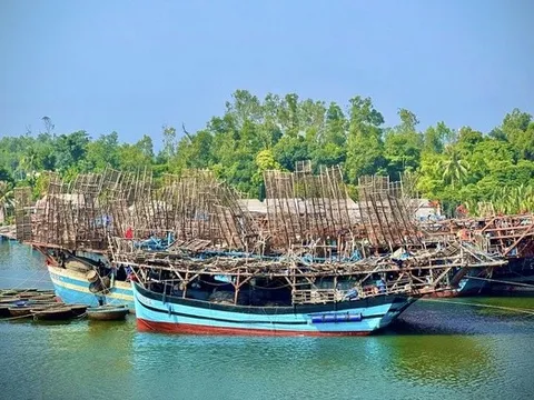 Tàu đầy ắp hải sản nhưng ngư dân Quảng Ngãi vẫn phải "gửi nhờ" cảng ngoài tỉnh