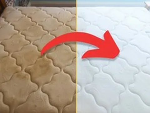 5 cách vệ sinh đệm không cần giặt