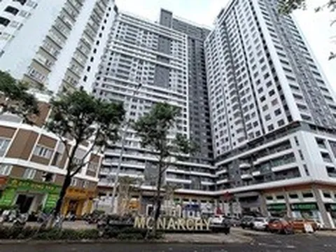 Phó Tổng Giám đốc Nhà Đà Nẵng chỉ mua 26% lượng cổ phiếu đăng ký