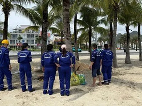 Phát hiện 2 thi thể nam, nữ trôi dạt trên vịnh Hạ Long