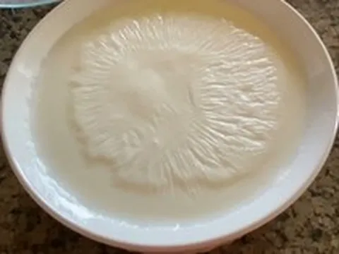 Nữ bác sĩ Nhật giảm 15kg nhờ kiểu ăn sữa chua "lạ đời"