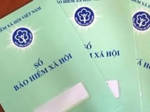 Ký hợp đồng dịch vụ có phải đóng các loại bảo hiểm?