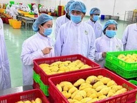 Nông sản Việt thích ứng quy định từ Trung Quốc