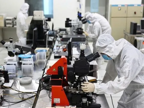Đến năm 2030 hình thành khoảng 30 nhóm nghiên cứu mạnh về khoa học tự nhiên