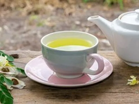 4 loại lá có sẵn trong vườn, hái đem pha trà giúp giảm huyết áp và đường huyết: Có loại toàn bị bỏ đi