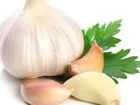 7 lưu ý cho người thường xuyên ăn tỏi