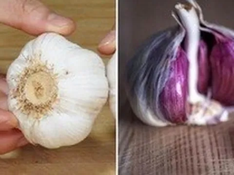 Tỏi vỏ tím hay tỏi vỏ trắng tốt hơn, Tỏi vỏ tím, tỏi vỏ trắng
