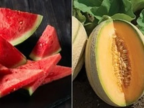 7 loại trái cây, rau củ bù nước, giải nhiệt cực tốt trong mùa hè